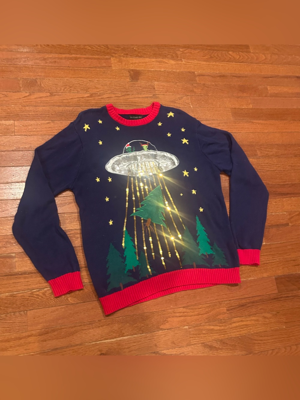 Blizzard Bay Alien 👽 Christmas Funny Sweater